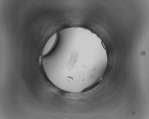 X0000096630041200802261215