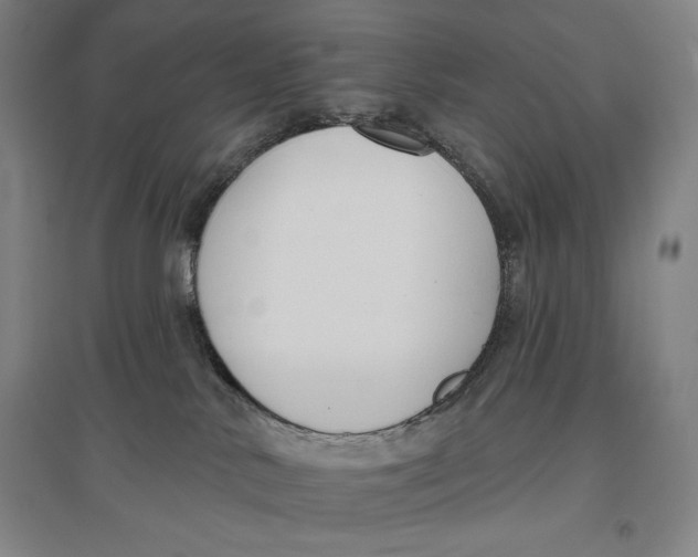 X0000096630042200802261215