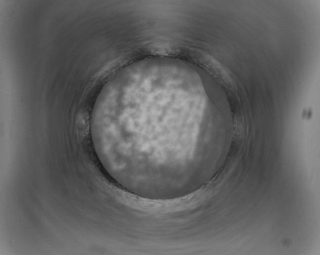 X0000096630043200802261215