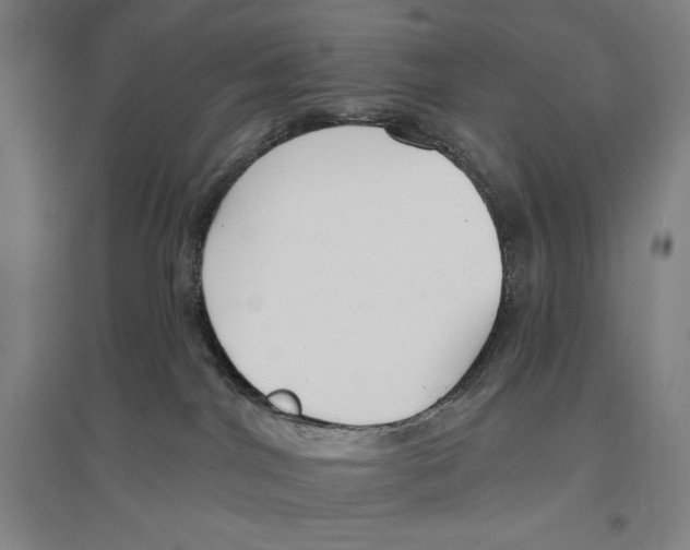 X0000096630044200802261215