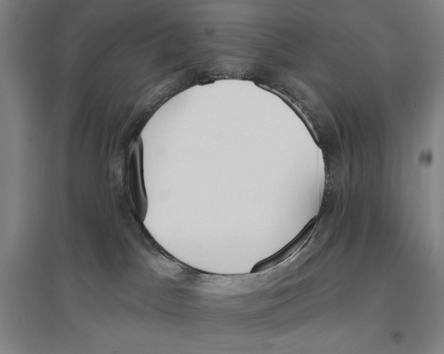 X0000096630045200802261215