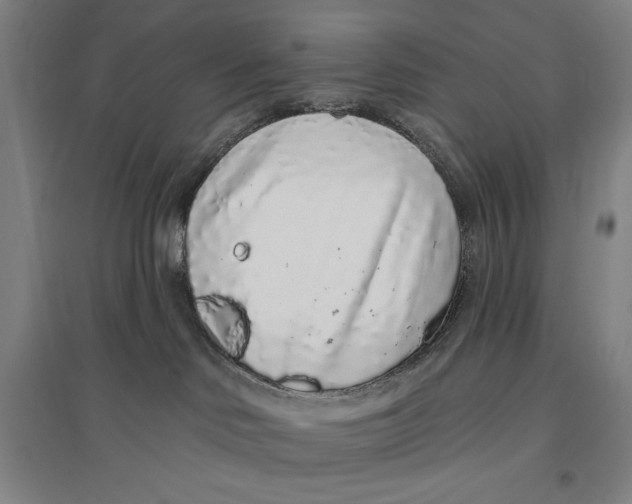 X0000096630046200802261215