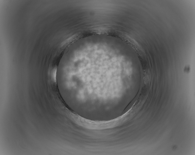X0000096630047200802261215