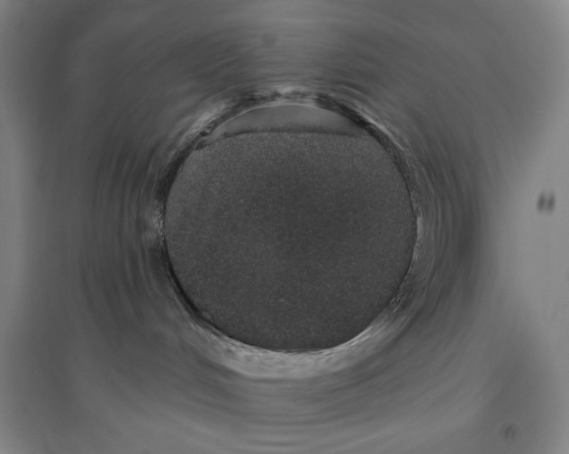 X0000096630048200802261215