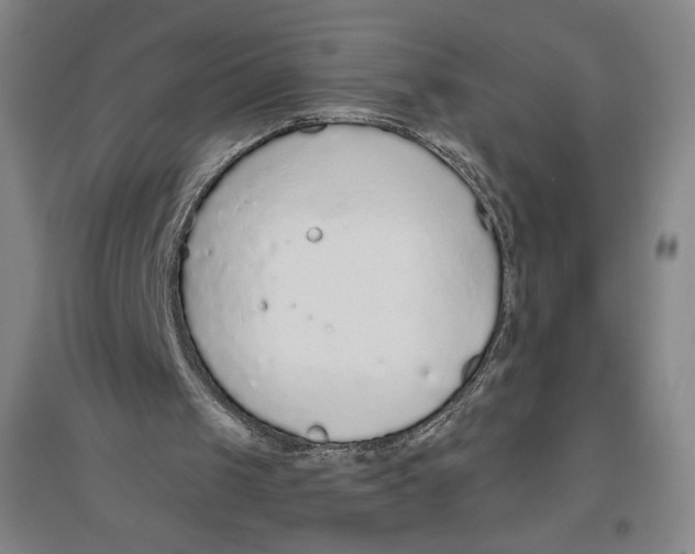 X0000096630049200802261214