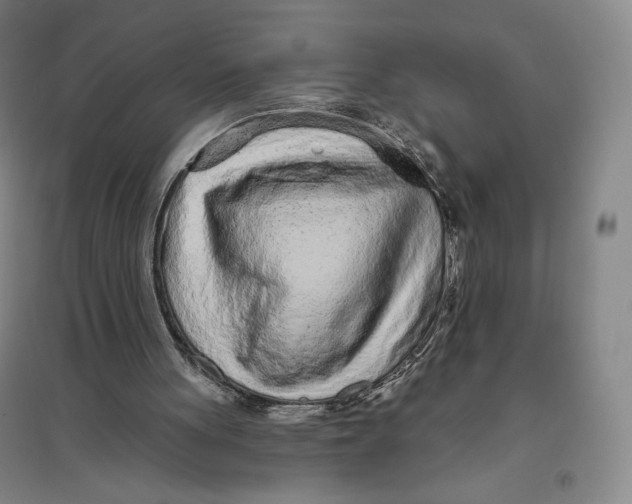 X0000096630051200802261214