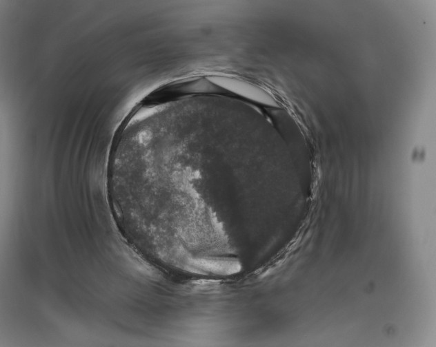 X0000096630052200802261214