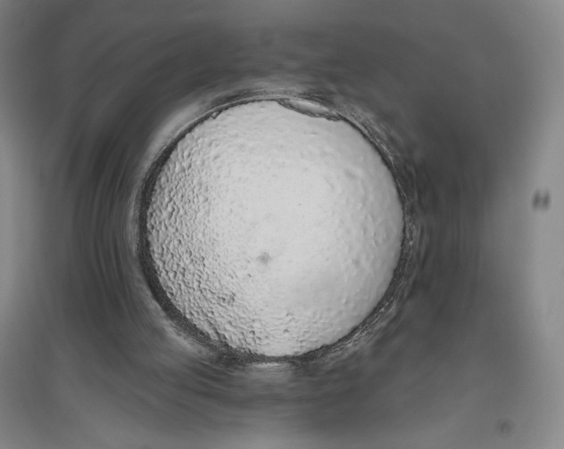 X0000096630053200802261214