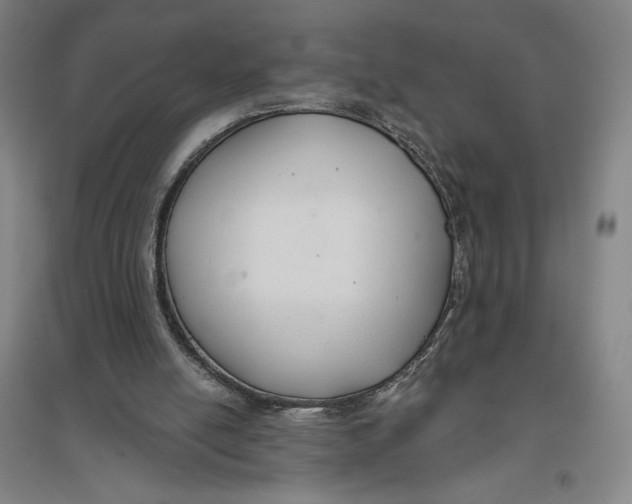 X0000096630054200802261214