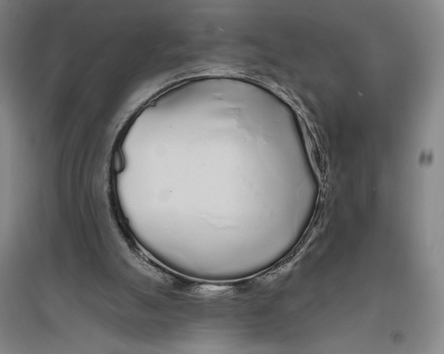 X0000096630055200802261214