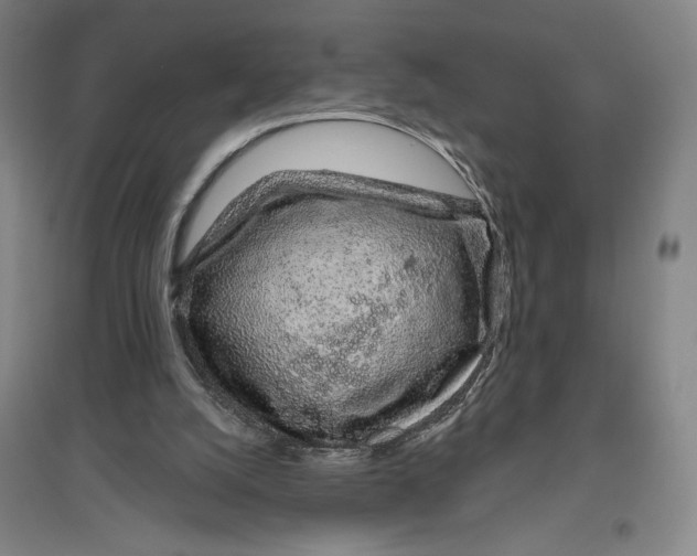 X0000096630056200802261214