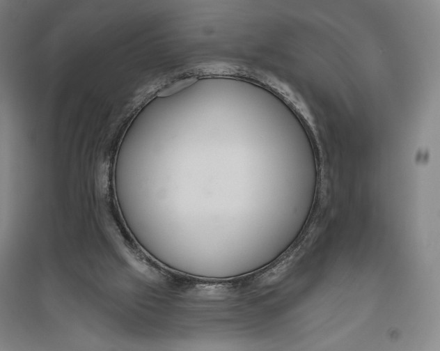 X0000096630057200802261214