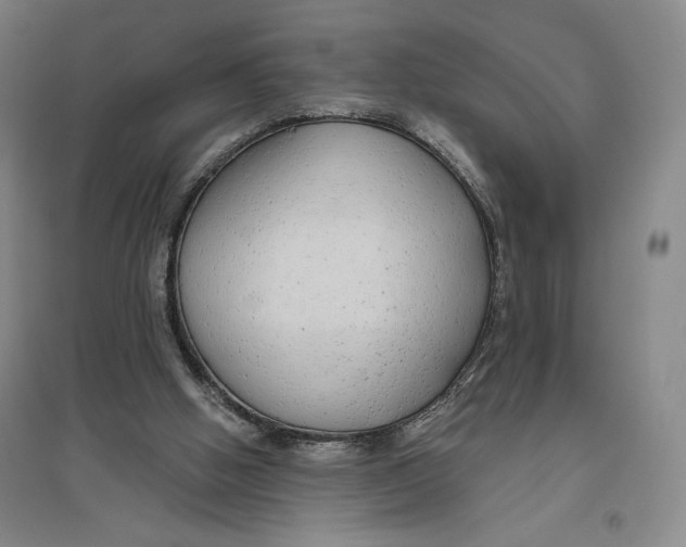 X0000096630058200802261214