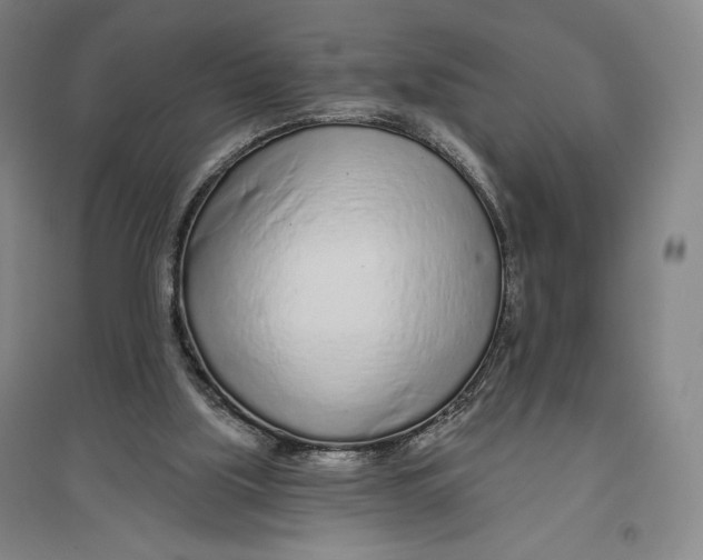 X0000096630059200802261214