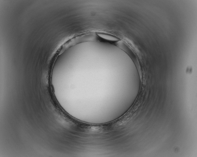 X0000096630060200802261214
