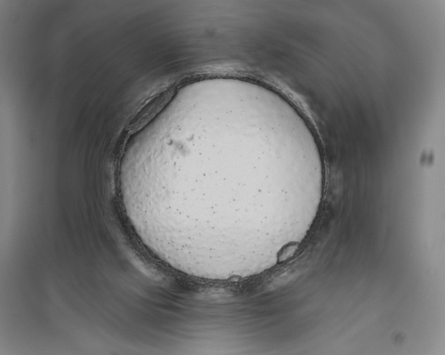 X0000096630061200802261214