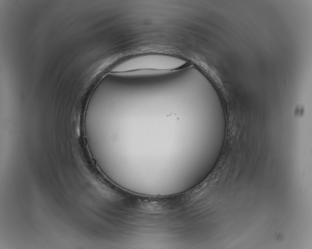 X0000096630062200802261214
