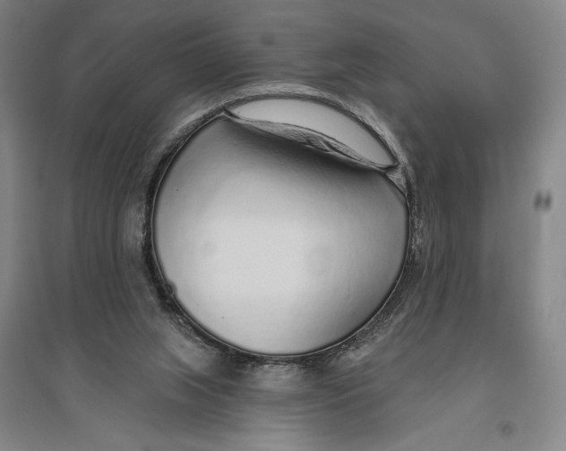X0000096630063200802261214
