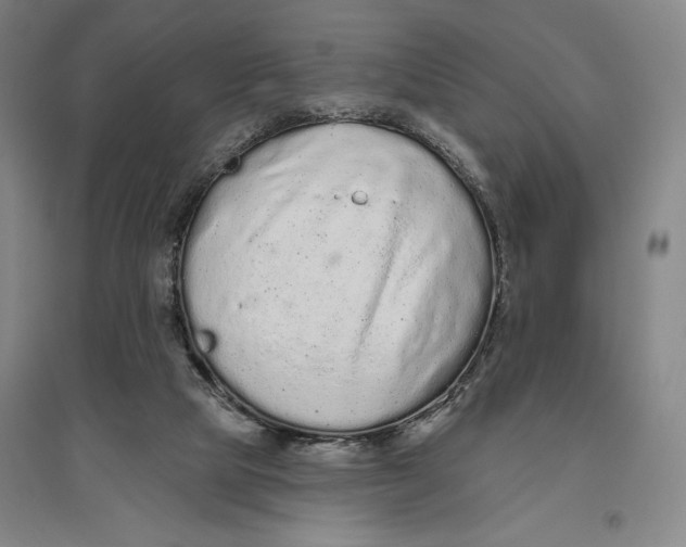 X0000096630065200802261214