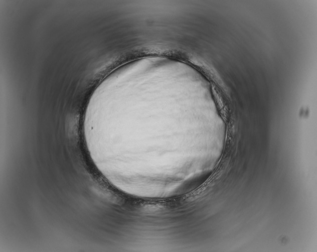 X0000096630066200802261214