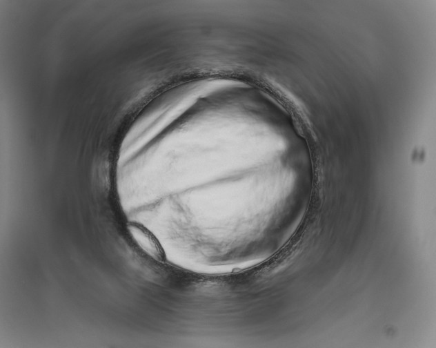 X0000096630067200802261214