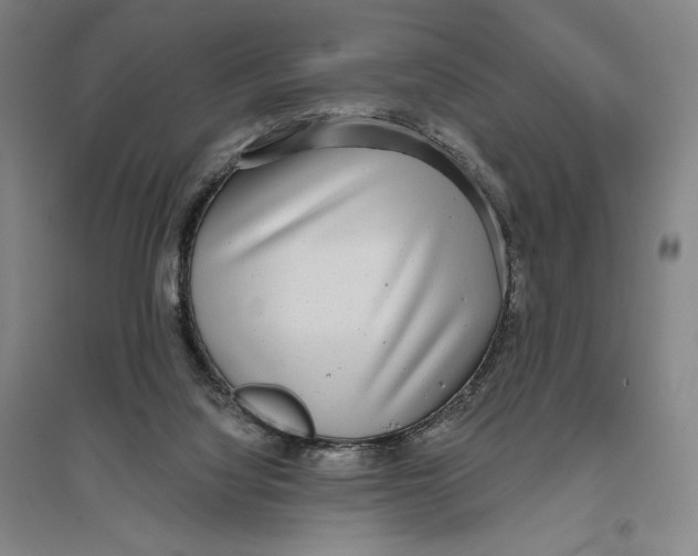 X0000096630068200802261214