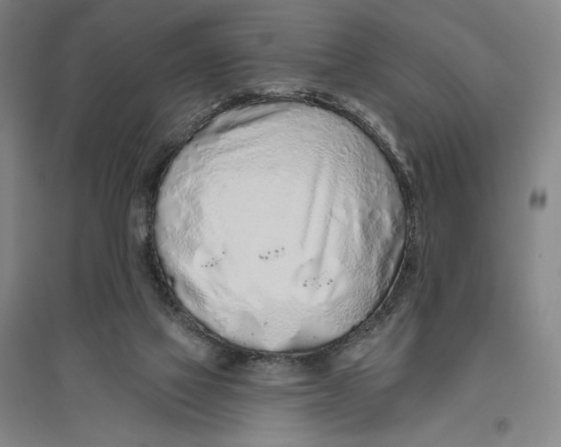 X0000096630069200802261214
