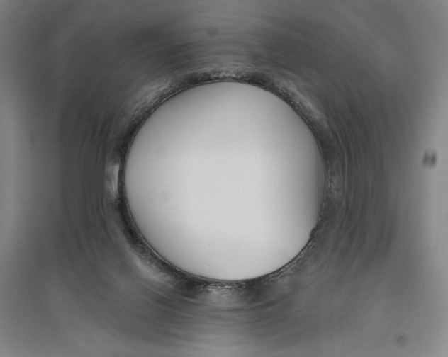 X0000096630070200802261214