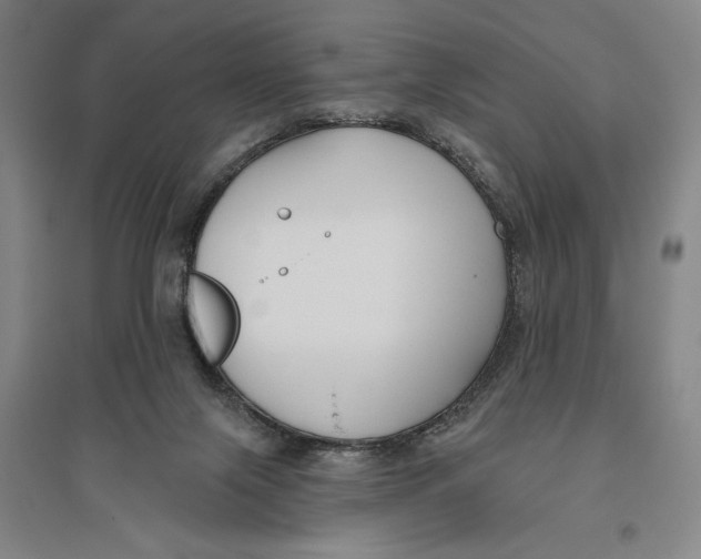 X0000096630071200802261214