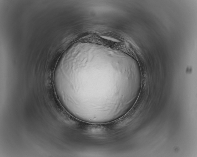 X0000096630073200802261214