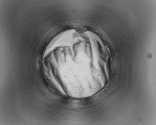 X0000096630074200802261214