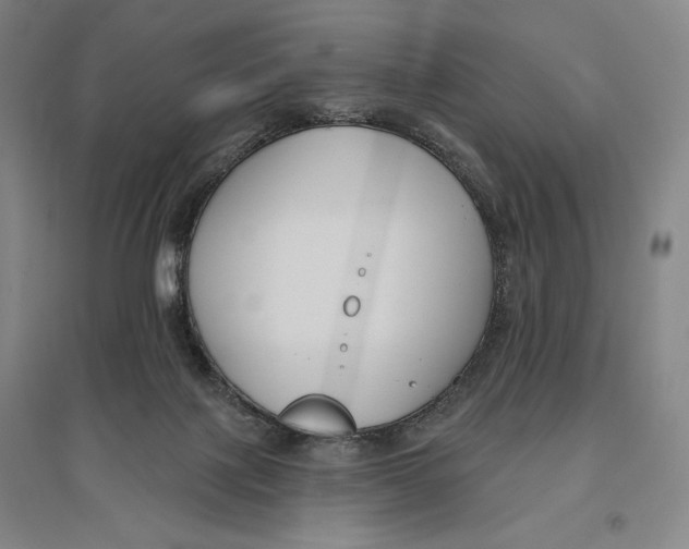 X0000096630075200802261214