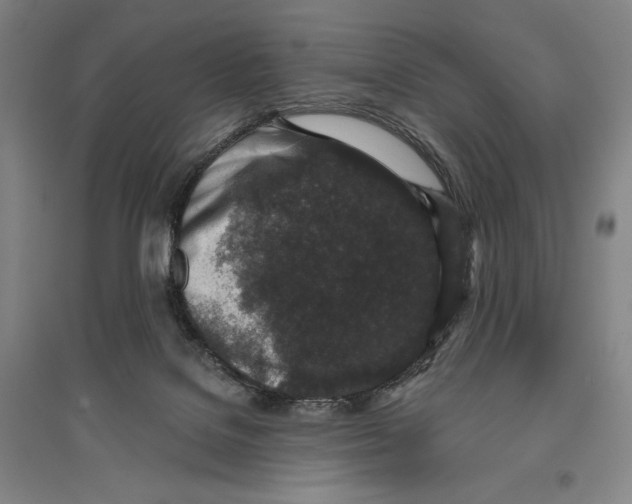 X0000096630076200802261214
