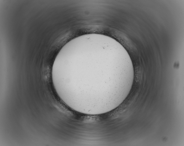 X0000096630077200802261214