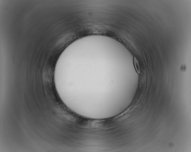 X0000096630078200802261214