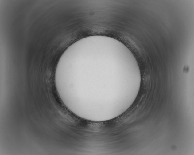 X0000096630079200802261215