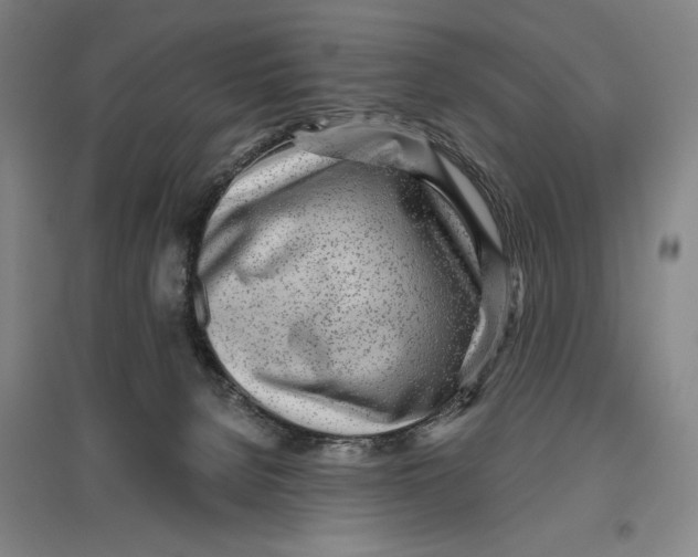 X0000096630080200802261215