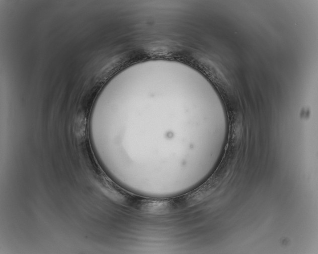 X0000096630081200802261215