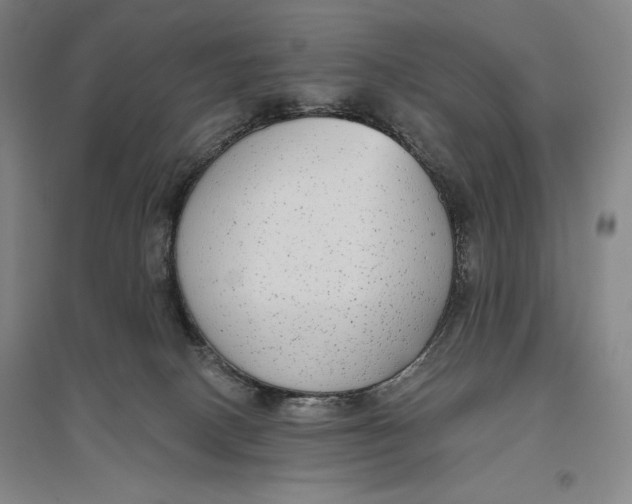 X0000096630082200802261215
