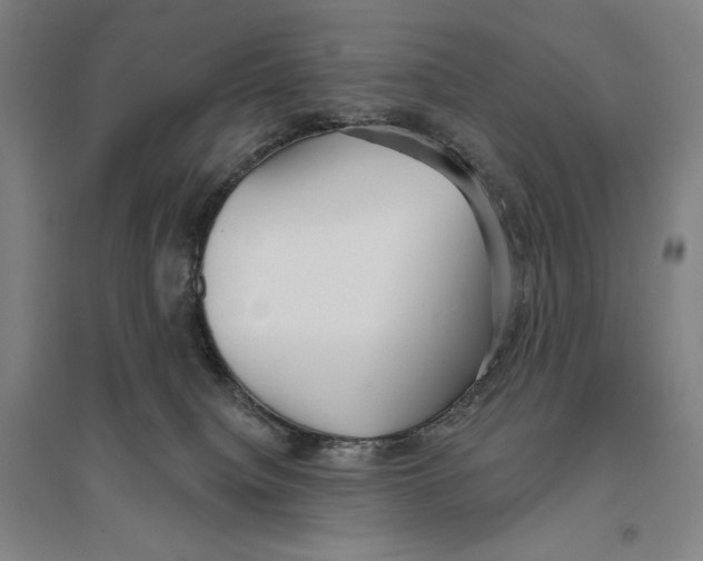 X0000096630084200802261215