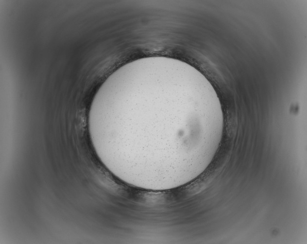 X0000096630085200802261215
