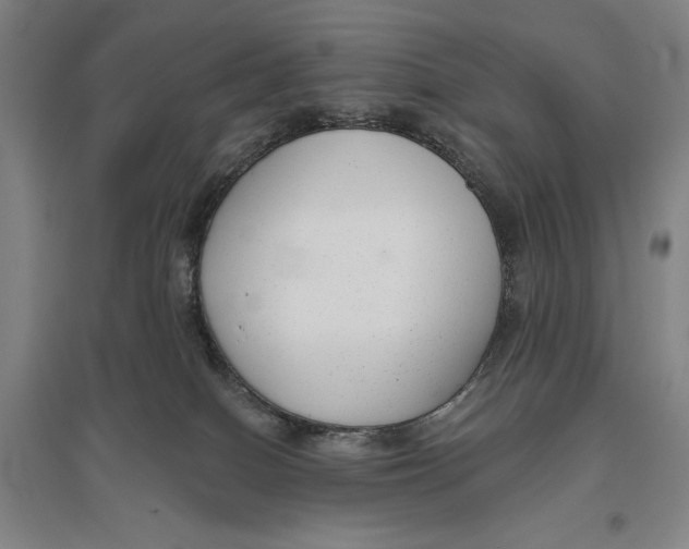 X0000096630086200802261215