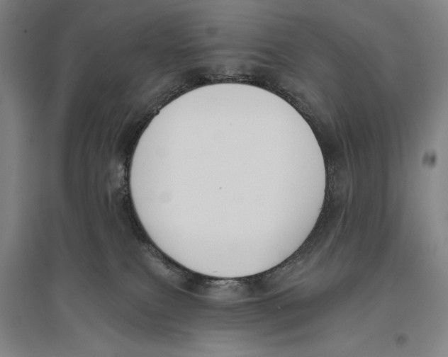 X0000096630087200802261215