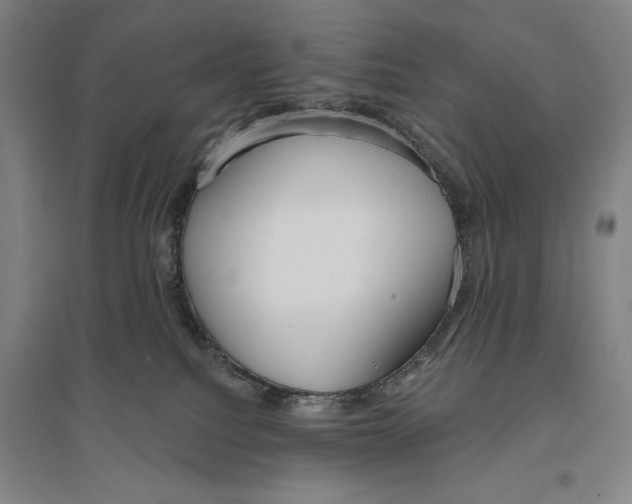 X0000096630088200802261215
