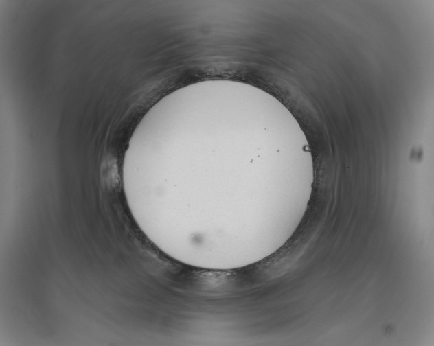 X0000096630089200802261215