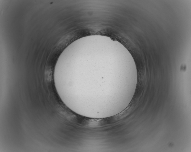 X0000096630090200802261215