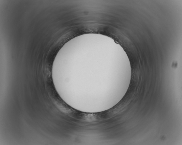 X0000096630091200802261215