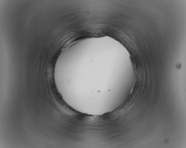 X0000096630092200802261215