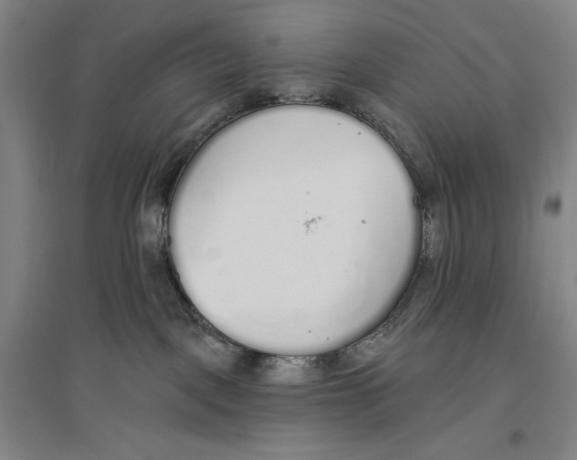 X0000096630093200802261215