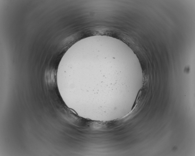 X0000096630094200802261215